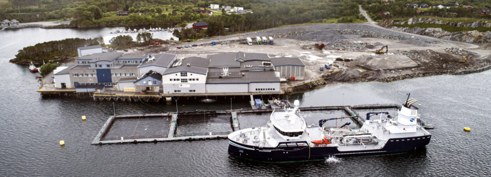 Ronja Explorer ved fabrikken på Marøya, foto