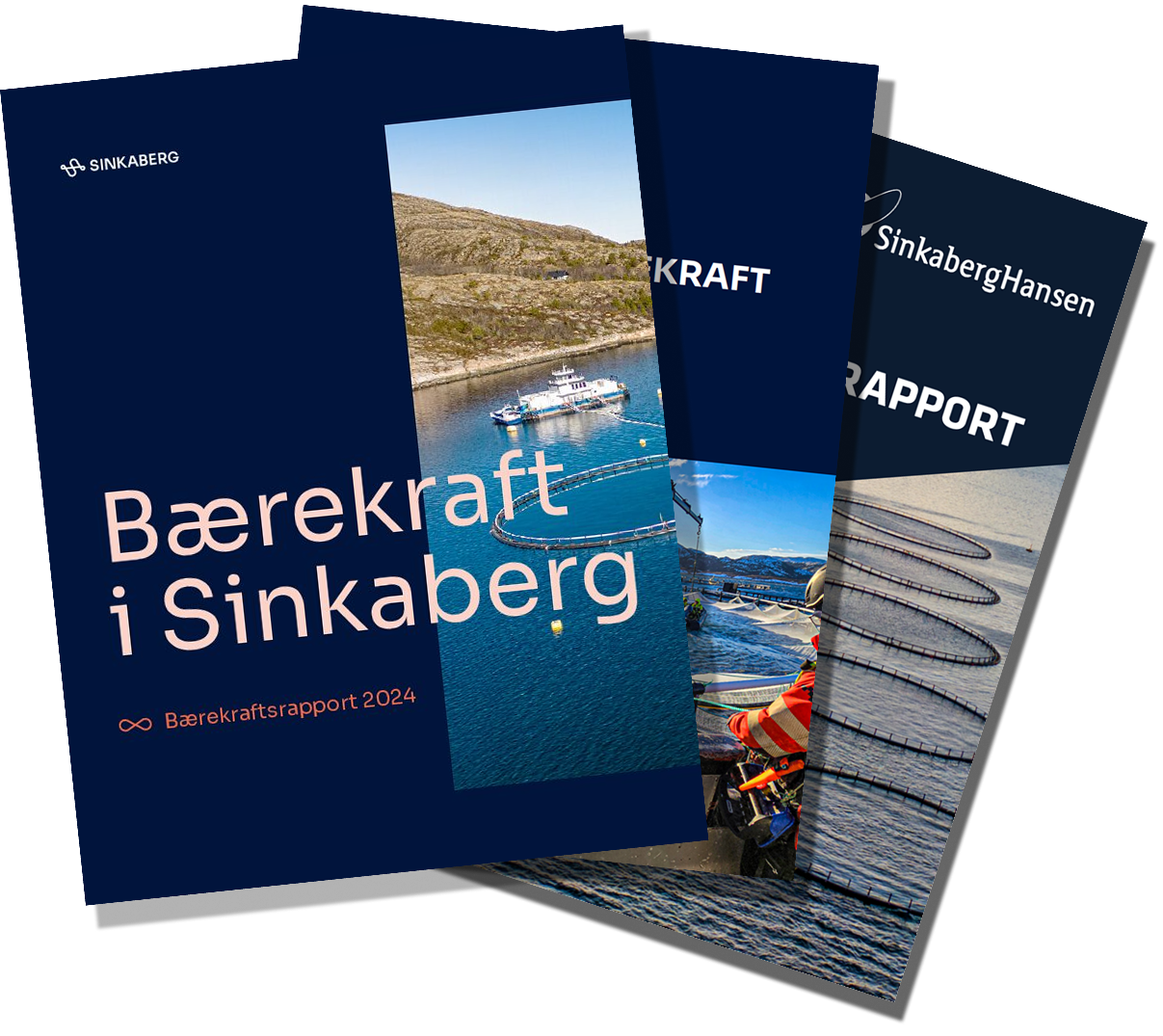 Bærekraftsrapporter