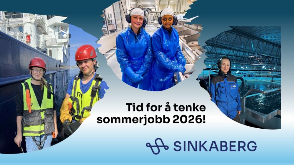 a Sommerjobb bilde 2 2026