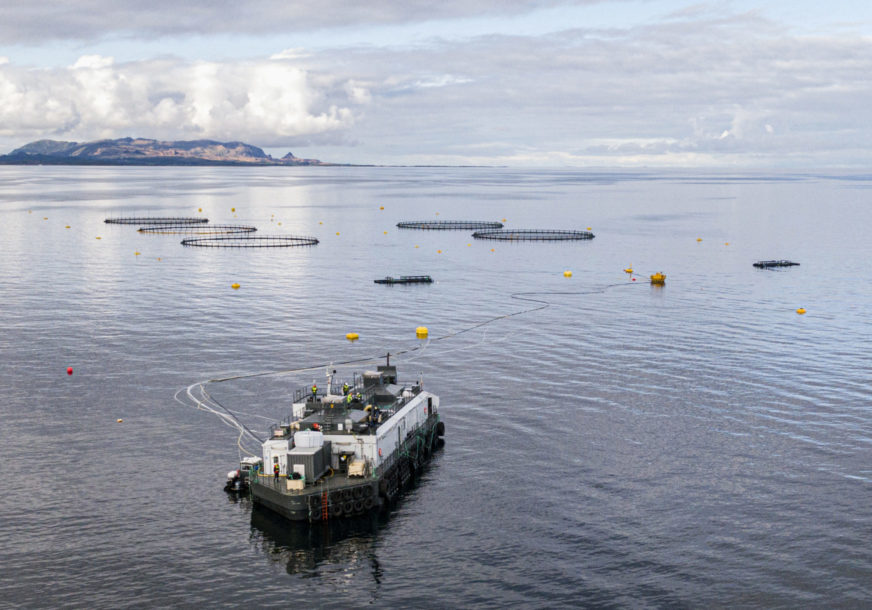 a21Otervika17aug00